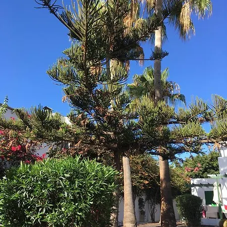 Apartmán Paradise Club Oasis Puerto del Carmen (Lanzarote)